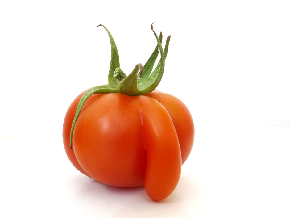 Tomato