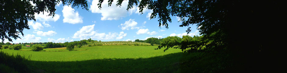 Panoramic image of a hill 