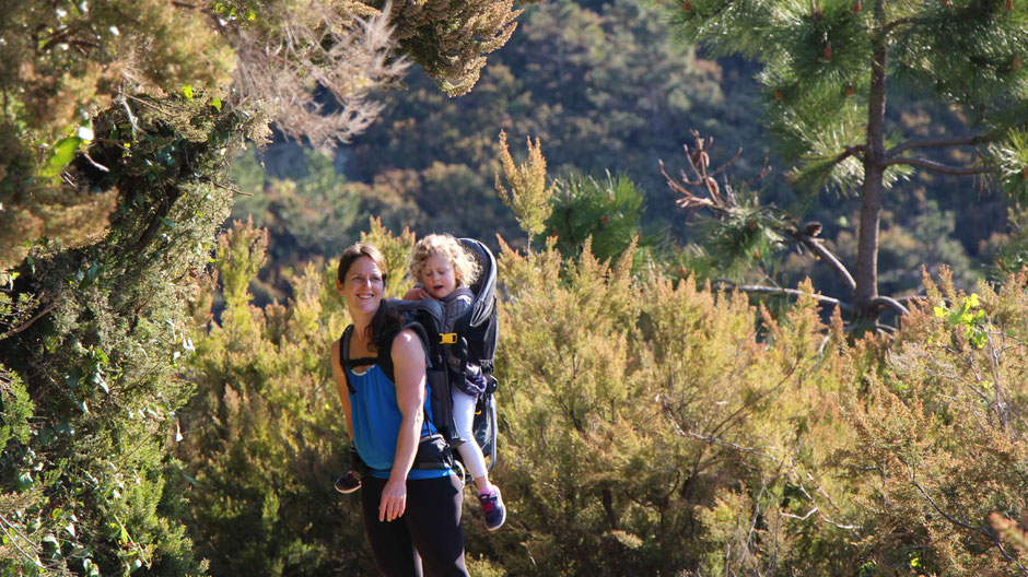 How to Hike Cinque Terre with Kids -Manarola to Cornigila - the forest is just as beautiful as the Ligurian Sea