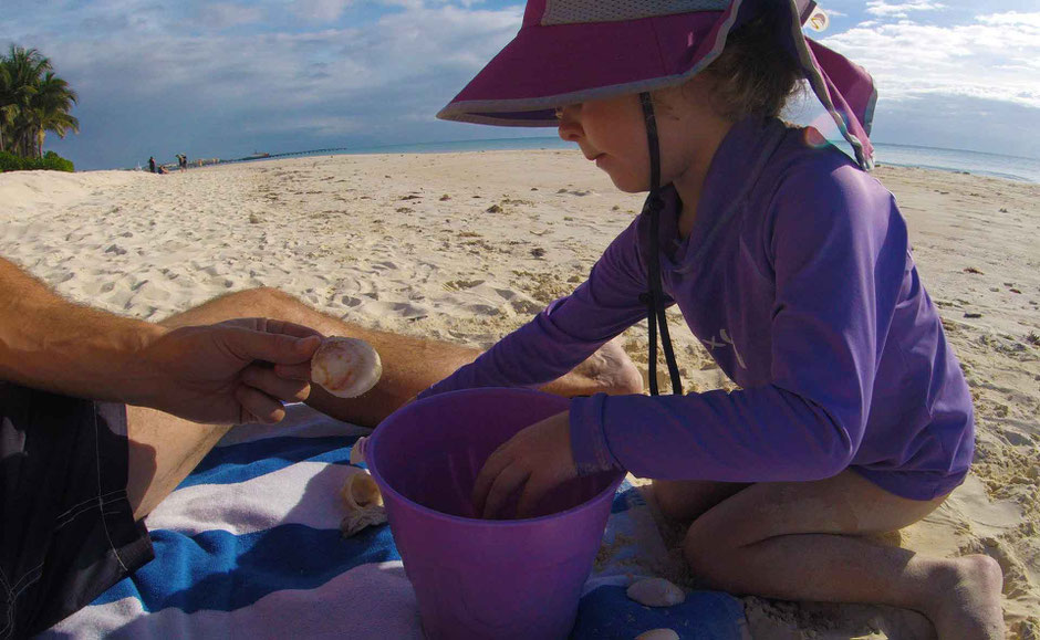 6 Best Public Family Beaches in Playa del Carmen - Off Resort - Playacar - there are actually seashells on this beach
