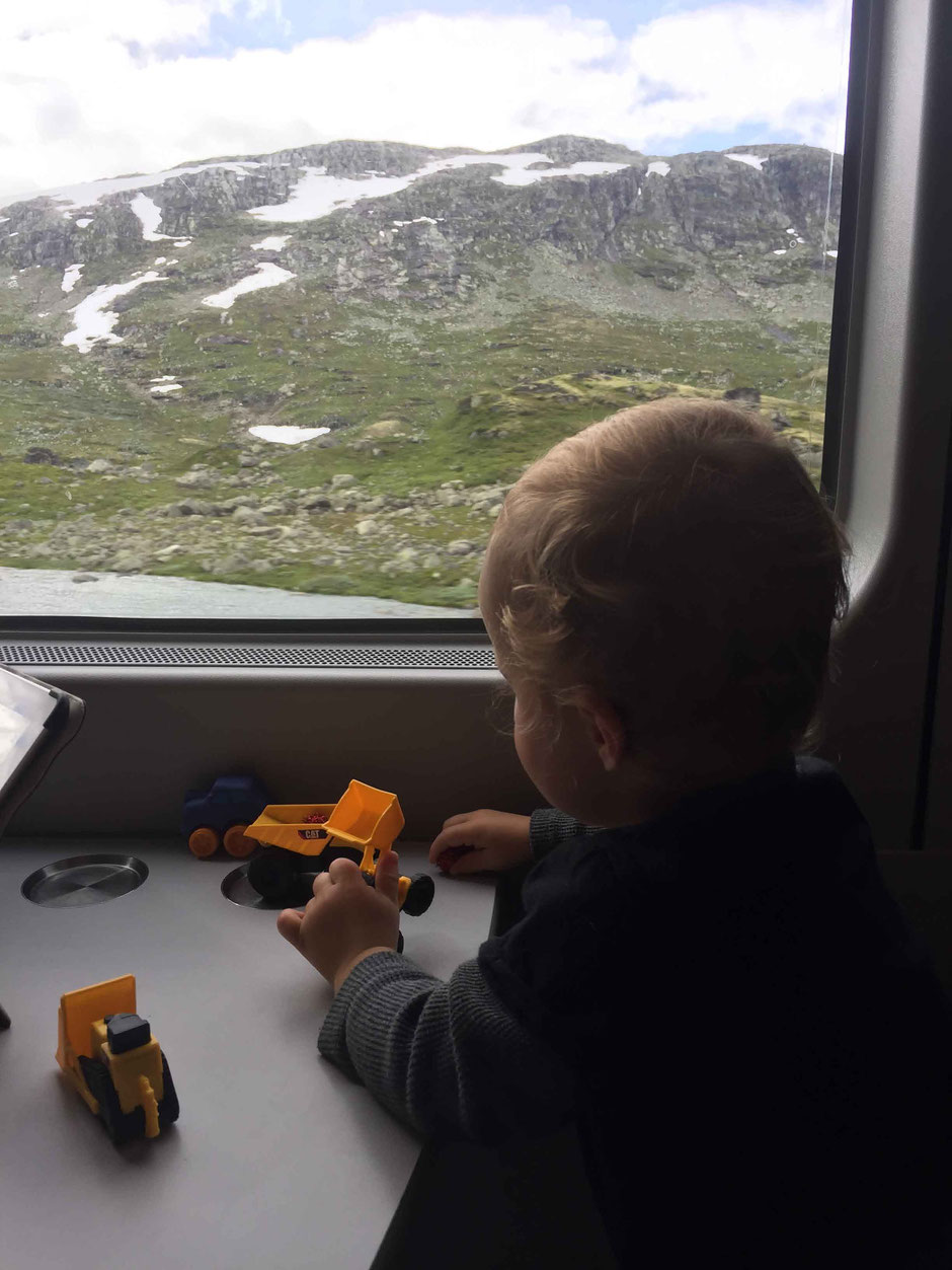 How to Save Money in Norway - Rent a car only when necessary - NSB Train from Oslo to Bergen