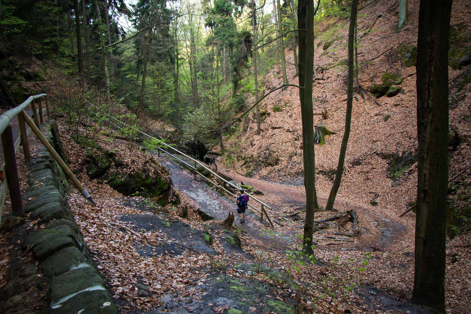 Hiking to Pravcicka Brana with kids in Bohemian Switzerland