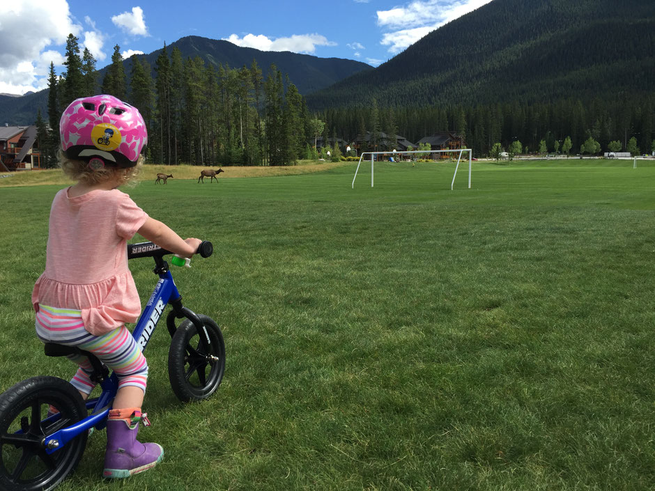 Learning to ride a strider balance bike