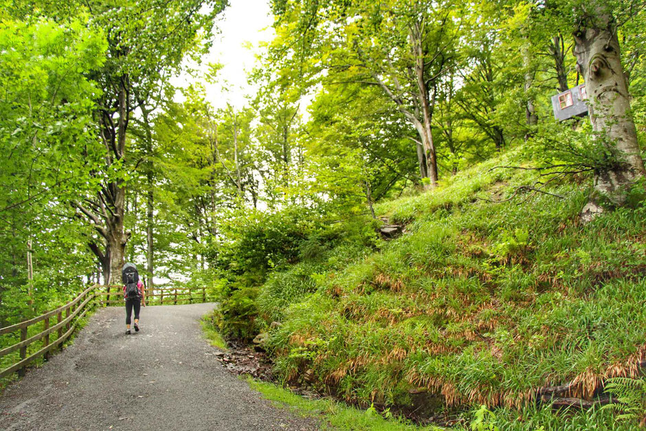 Hiking up to Mt Floyen in Bergen Norway