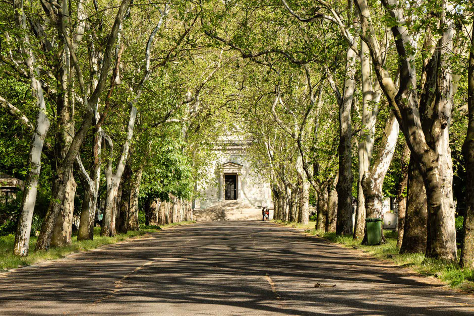 Fiume Road Graveyard Budapest