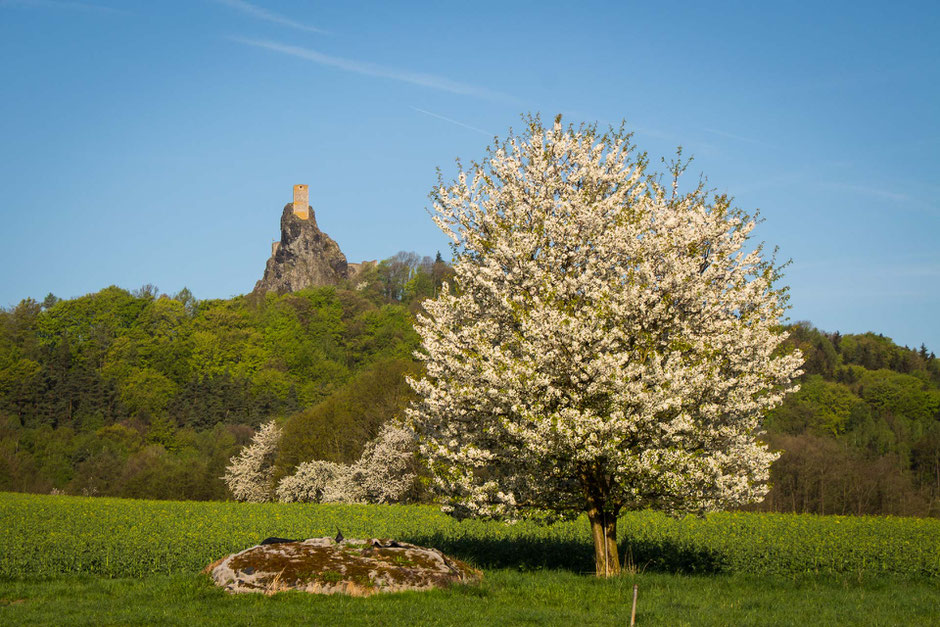 View of Trosky Castle in Bohemian Paradise