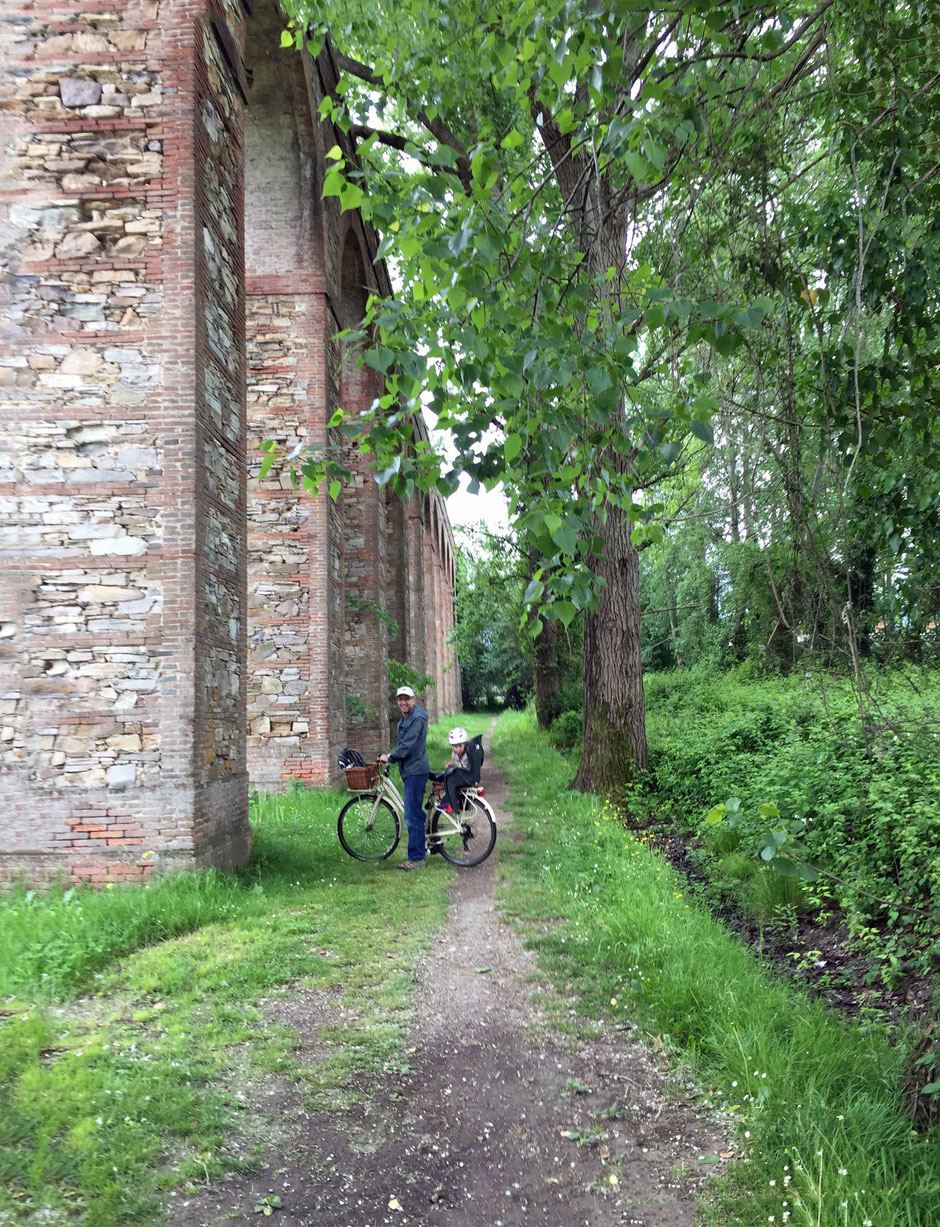 Cycling in lucca italy with kids