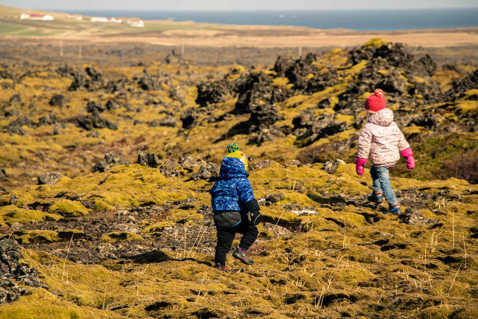 Berserkjahraun Lava Fields in Iceland with Kids