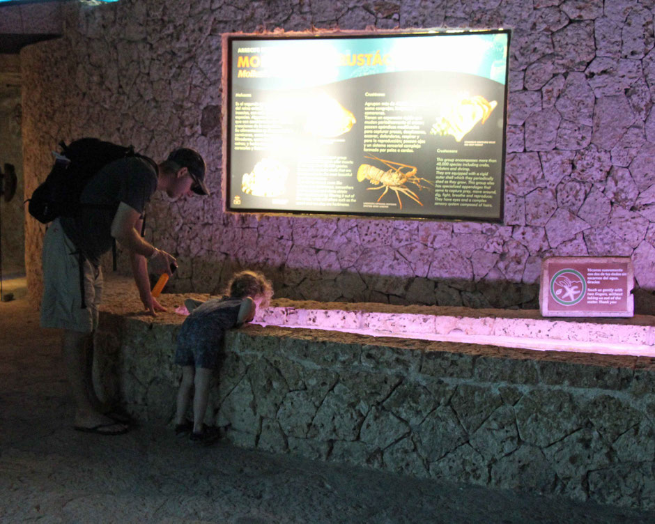 Xcaret with Toddlers - Aquarium
