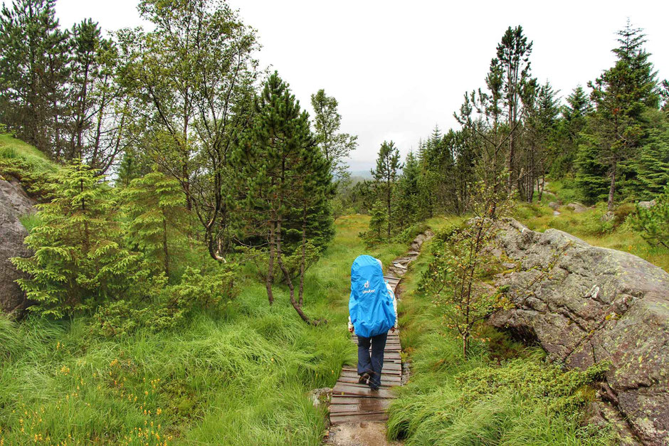 Hiking with a toddler in Bergen Norway