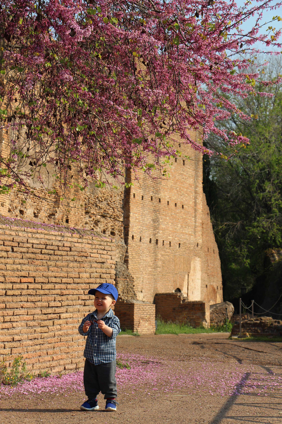 Palatine Hill Roman Forum With toddlers