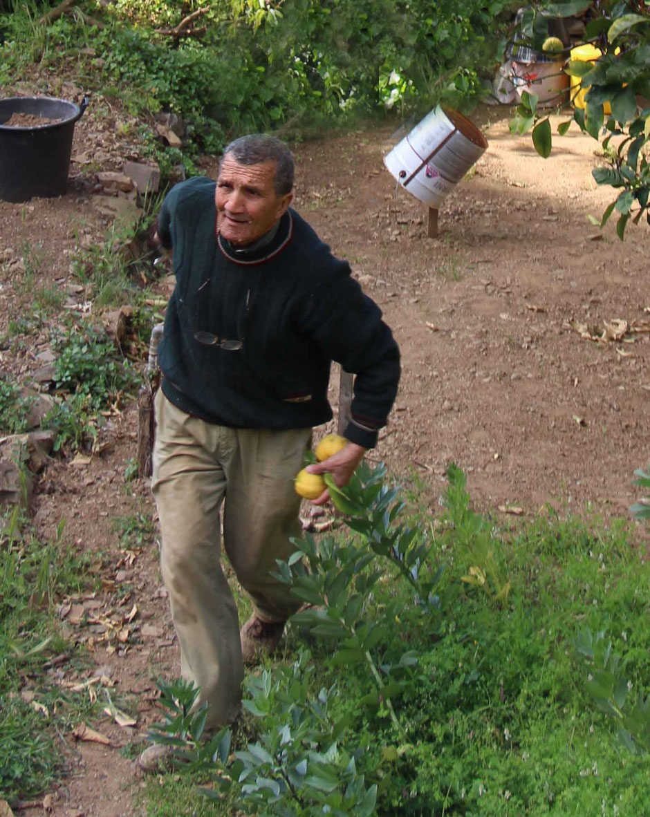 How to Hike Cinque Terre with Kids - Riomaggiore to Manarola - This generous lemon farmer cut lemons straight off the tree for our kids
