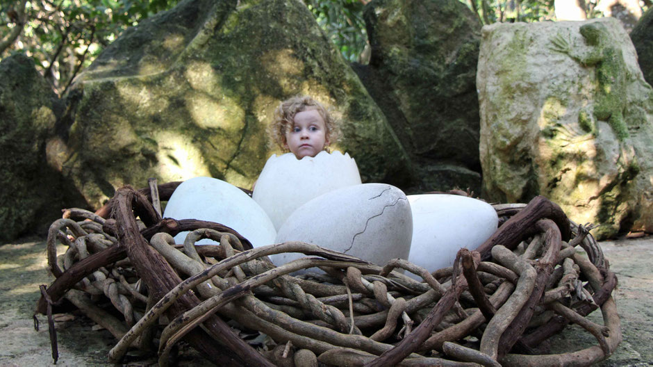 Xcaret with Toddlers - Aviary