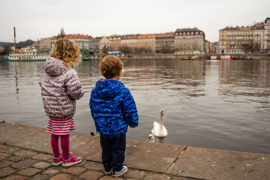Promenade on Vltava River in Prague