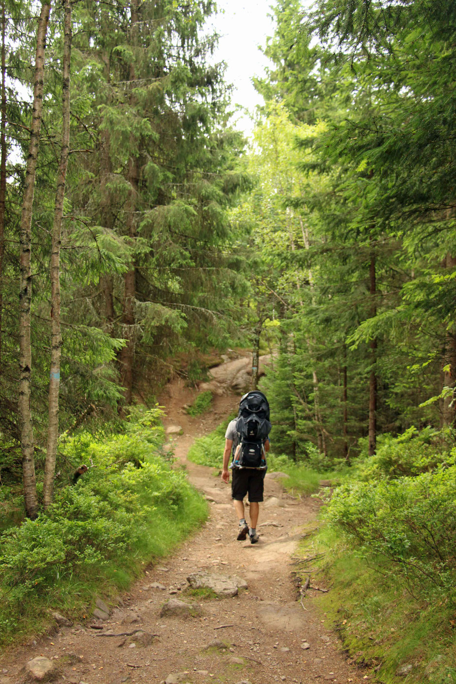 Normarka Forest Oslo With Kids