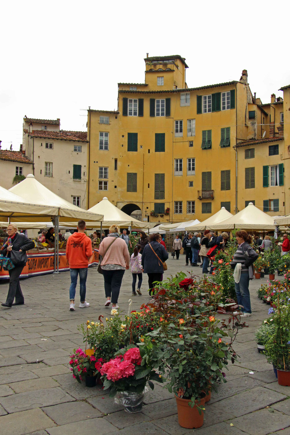 Piazza dell’Anfiteatro Lucca Italy