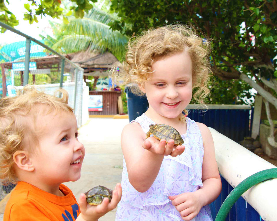 A Day of Exciting Family Fun on Isla Mujeres - Holding Baby Turtles at Tortugranja Turtle Farm