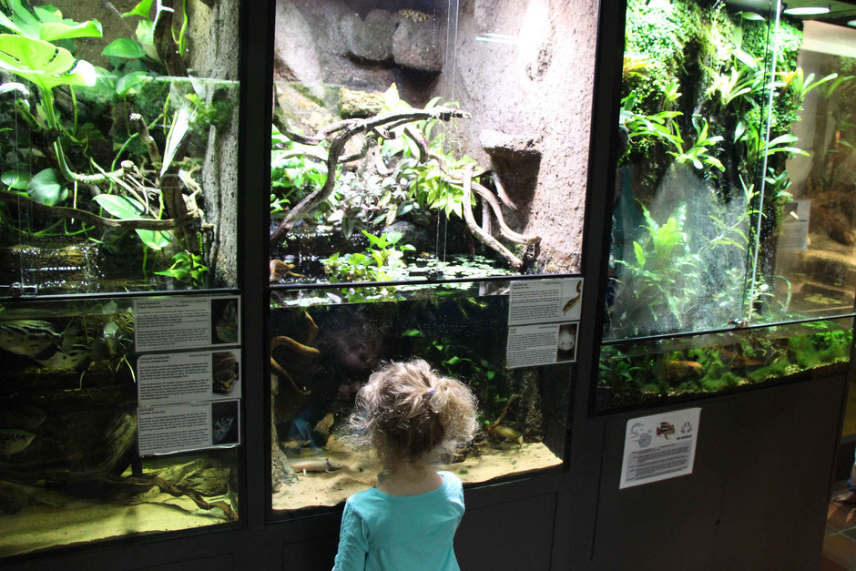 Reptile Park for Kids Oslo Norway