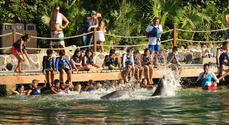 How to Have an Unparalleled Day at Xel-Ha, Mexico - Swim with Dolphins