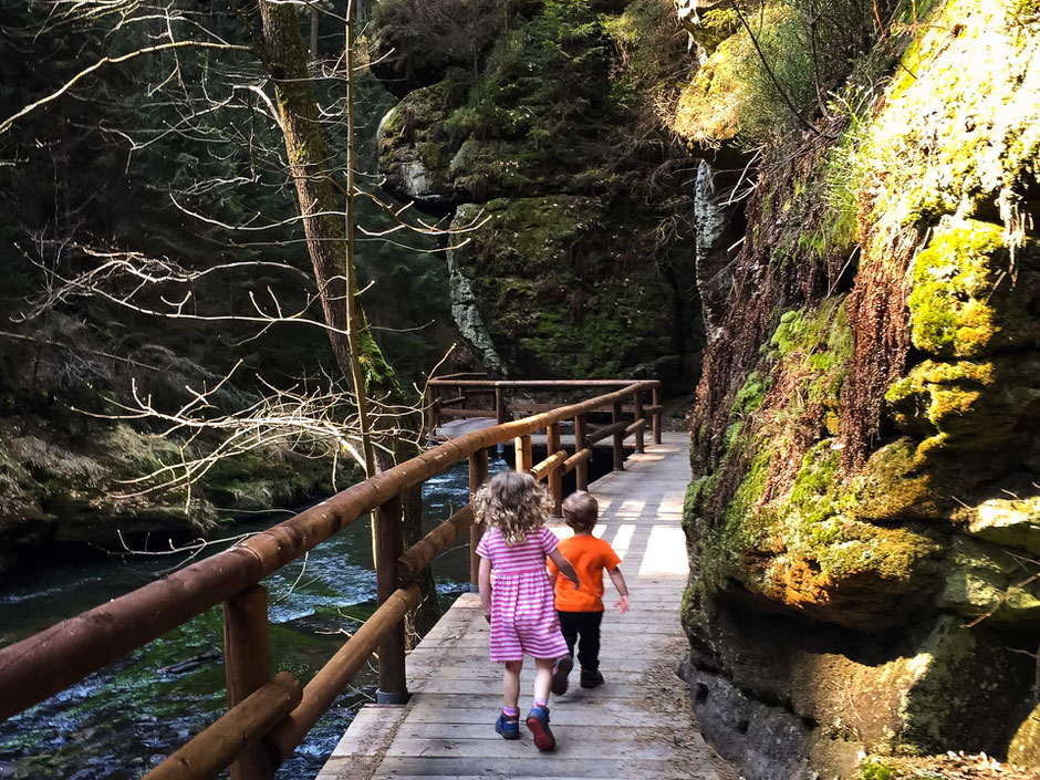 Hiking Wild Gorge Loop in Bohemian Switzerland with Kids