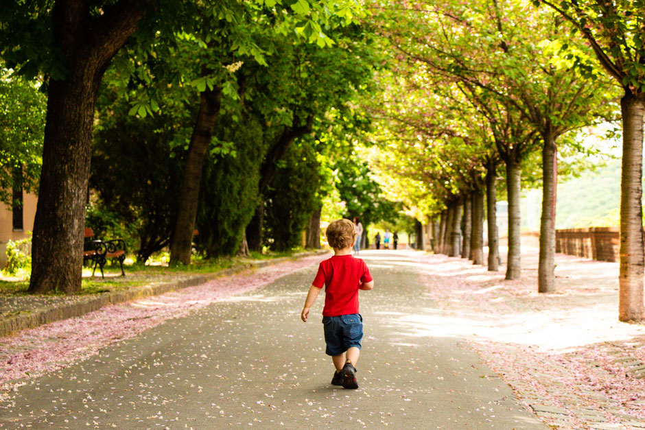 toddler walking in budapest