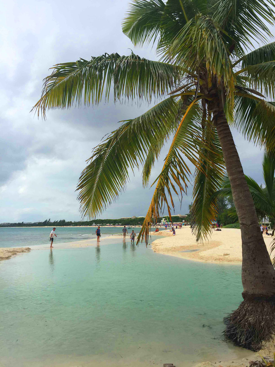 6 Best Public Family Beaches in Playa del Carmen - Off Resort - Punta Esmerelda - Tropical Paradise