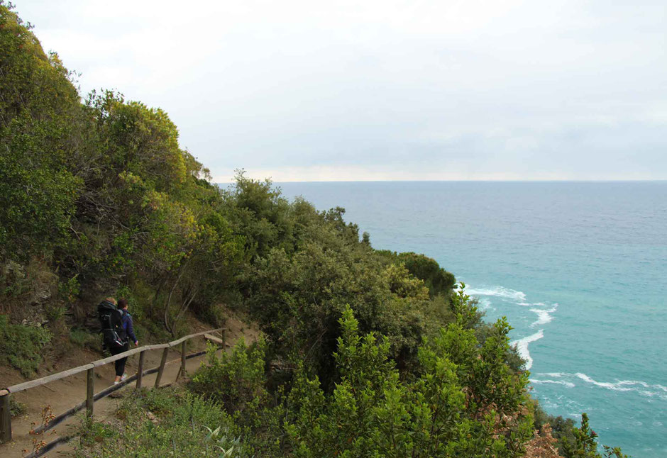 How to Hike Cinque Terre with Kids - Monterosso to Vernazza - a break in the trees provides a breathtaking view