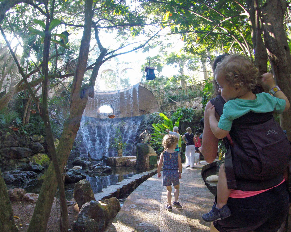 Xcaret with Toddlers - Aviary