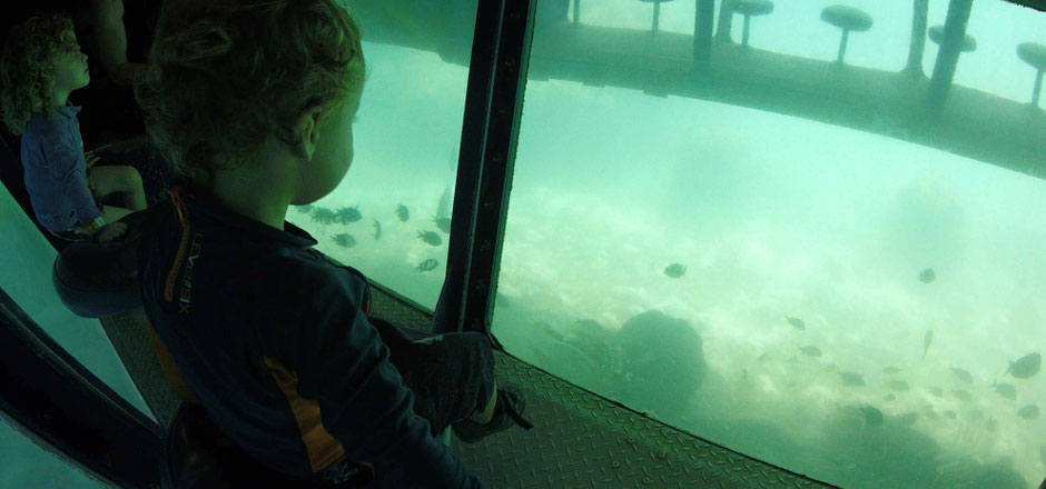 How to Have an Unparalleled Day at Xel-Ha, Mexico - Steady Subaquatic Observatory - Easy Underwater Viewing