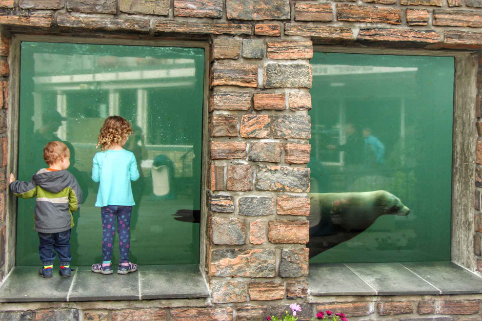 Bergen Aquarium in Bergen Norway