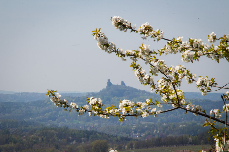 View of Trosky Castle in Bohemian Paradise