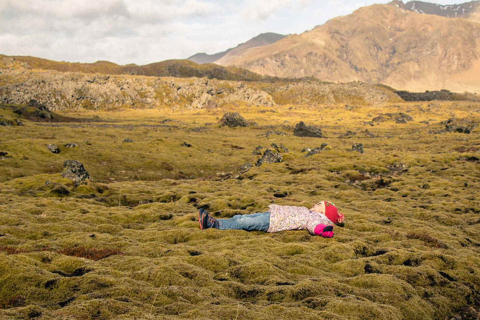 Berserkjahraun Lava Fields in Iceland with Kids