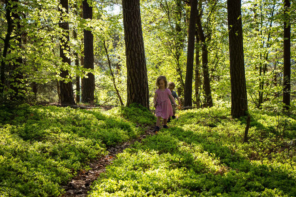 Hiking in Bohemian Paradise Czech Republic with children