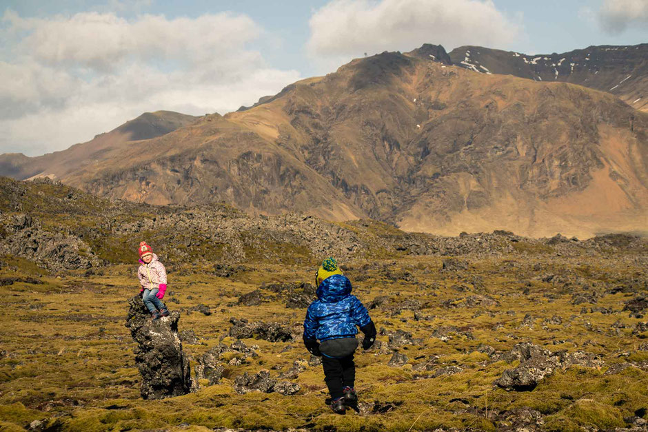 Berserkjahraun Lava Fields in Iceland with Kids