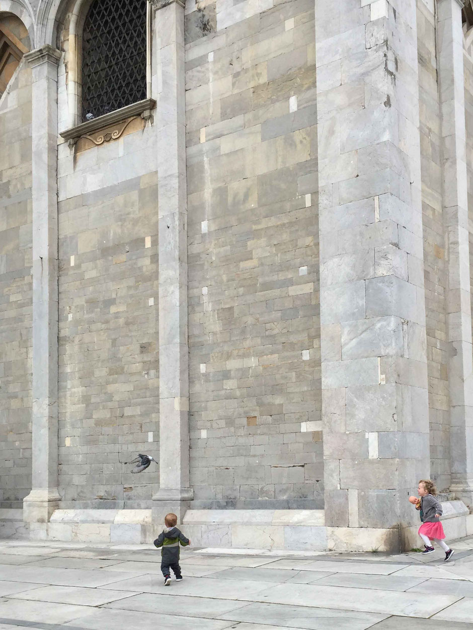 Kids chasing pigeons at the Campo dei Miracoli in Pisa, Italy