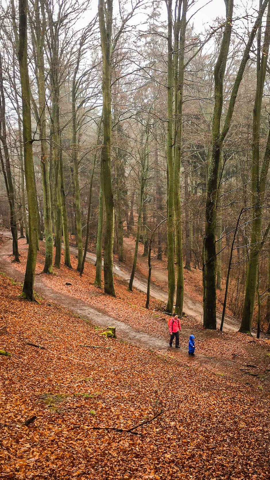 Hike to Diana Lookout with a toddler