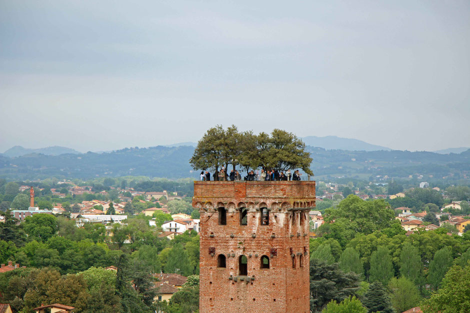 Torre Guinigi in Lucca Italy