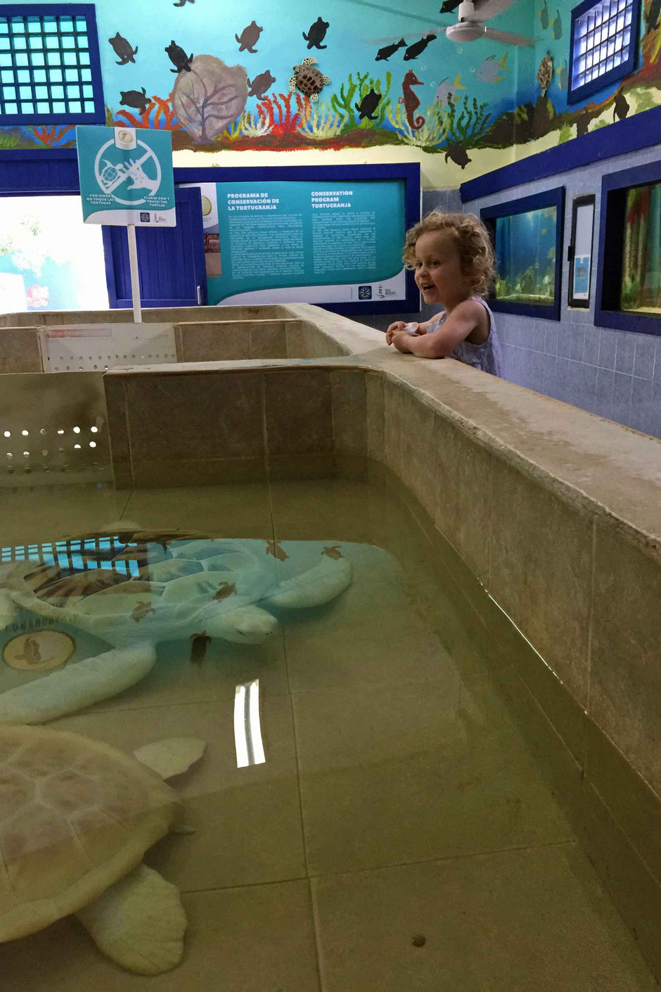 A Day of Exciting Family Fun on Isla Mujeres - Tortugranja Turtle Farm