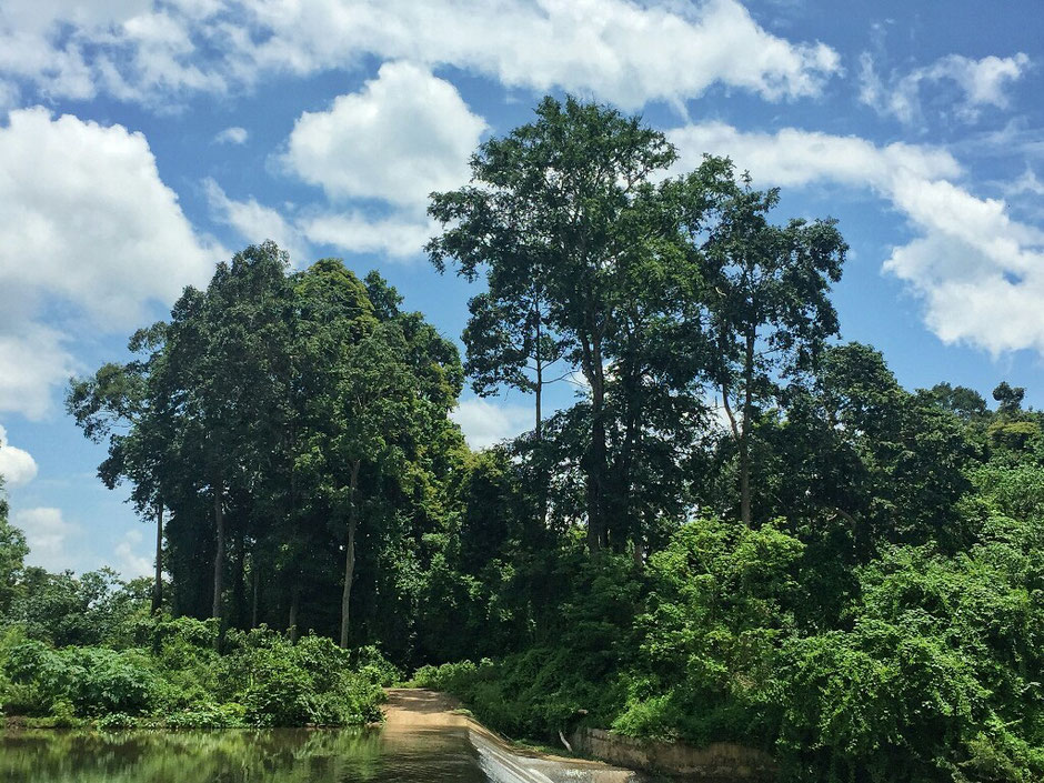 Erkundungstour - zentrales Hochland  - Vietnam – Erkundungstour – Ly und Heiko – Viethouse – Tour – Erfahrungen – Reisetipp – Urlaub – Abenteuer – Wasser - Fluss - Dac Lac – blauer Himmel – Wolken – See – Urwald - Buon Ma Thuot