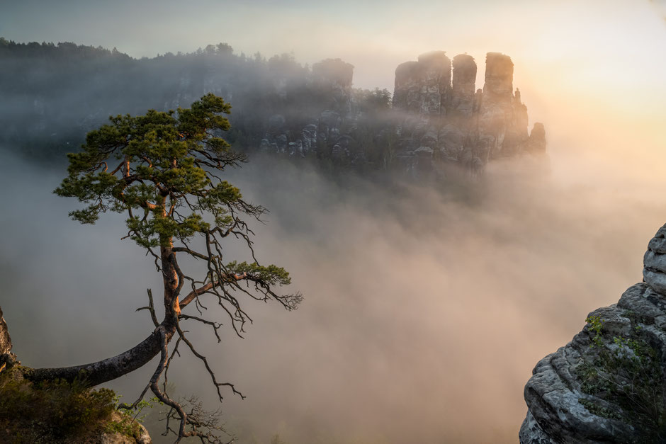 Gewinnerbild in der Kategorie Frühling des "Fotowettbewerb Sächsische Schweiz" 2019