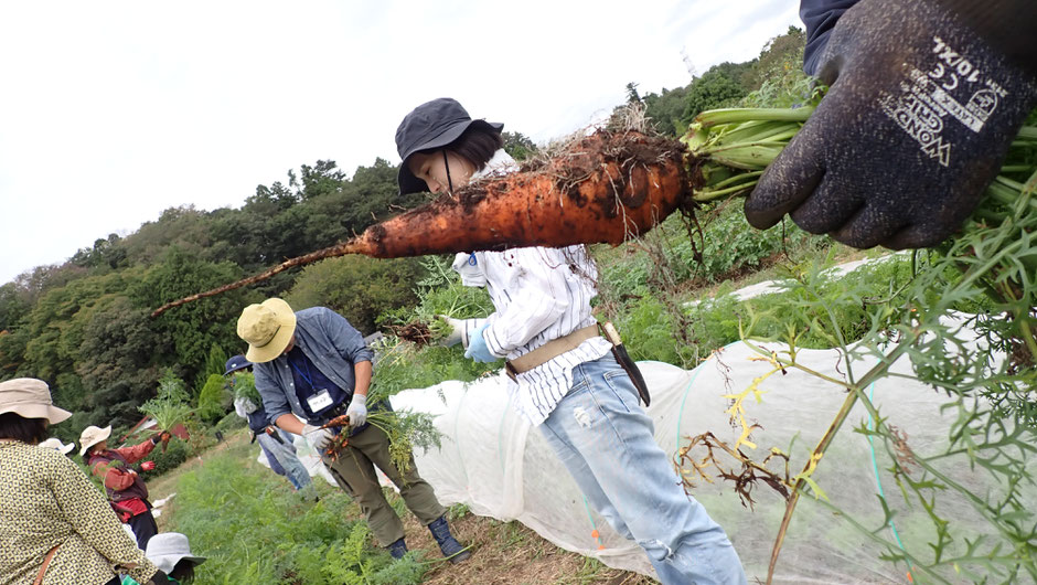 自給のための自然農を学ぶ野菜づくりの農業体験教室・さとやま農学校＠すどう農園