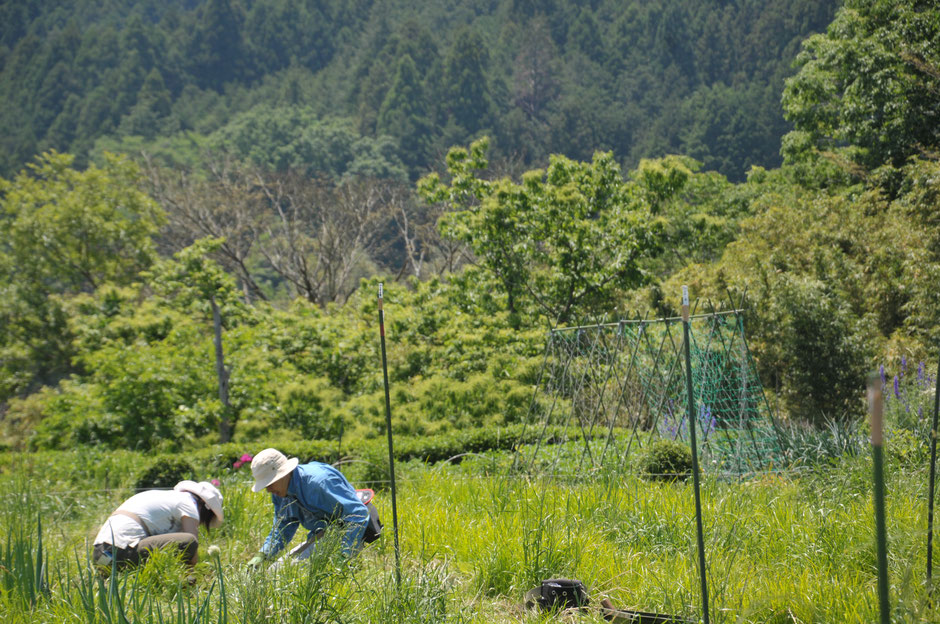 日帰りの里山で自然栽培を学ぶ「さとやま農学校・すどう農園」