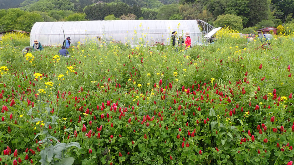 自給のための野菜作り教室・さとやま農学校