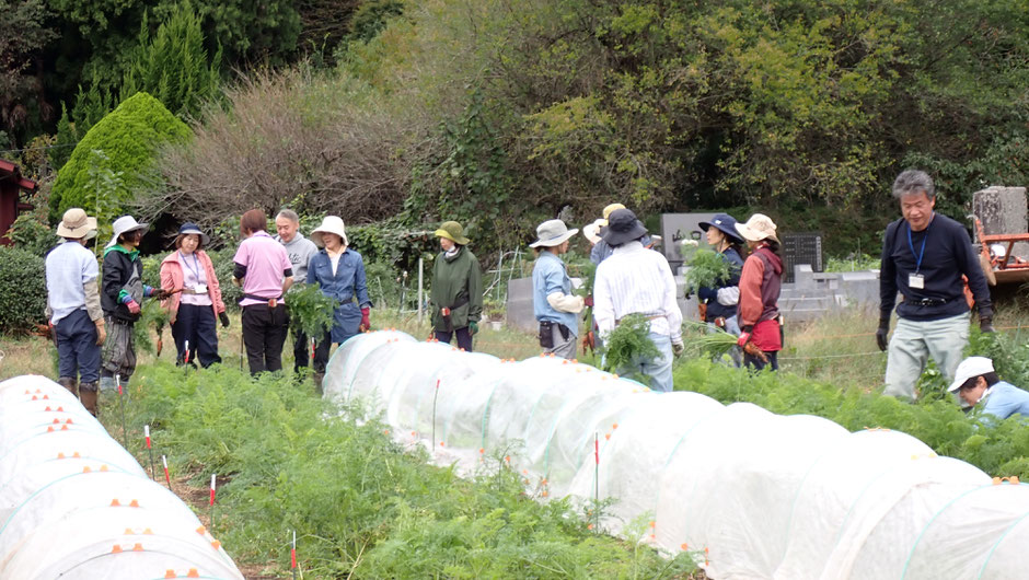 自給のための自然農を学ぶ野菜づくりの農業体験教室・さとやま農学校＠すどう農園