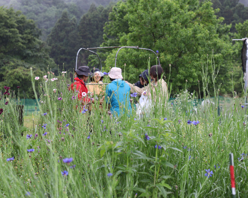 ハーブの栽培体験＠さとやま農学校・すどう農園