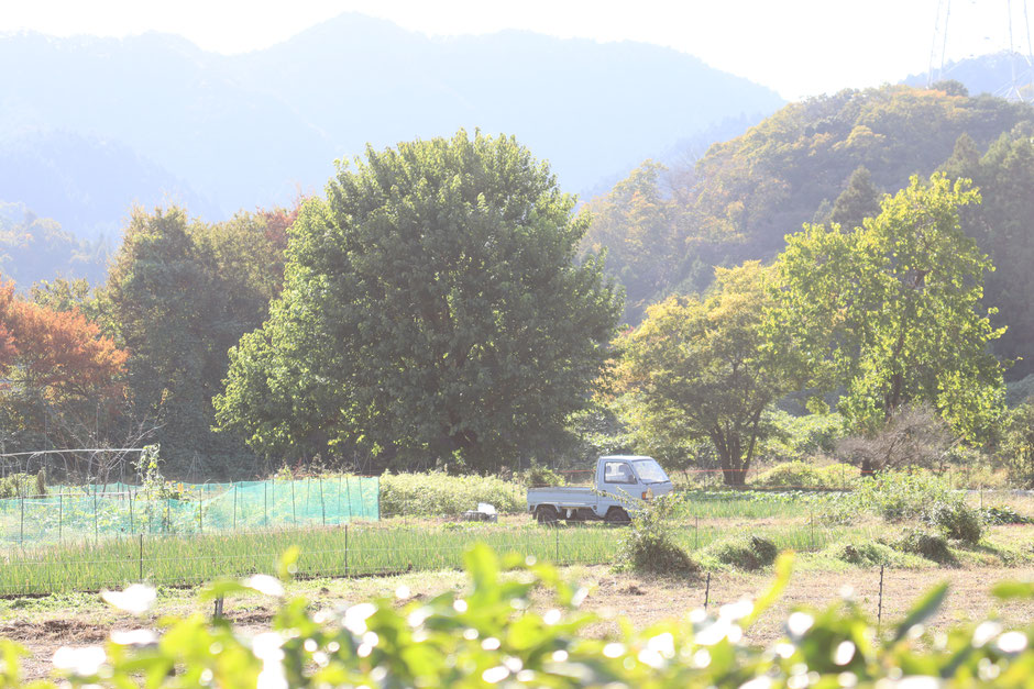 周囲は静かな里山空間。都会では味わえないエアポケットです