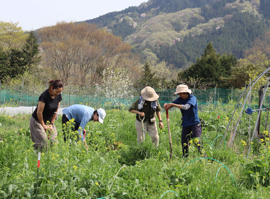 初夏は草や虫も一緒に、地球で生きている感じ。
