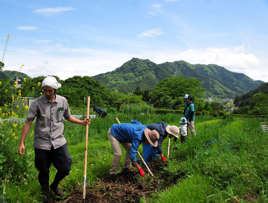 自然栽培と無肥料栽培による生物多様性