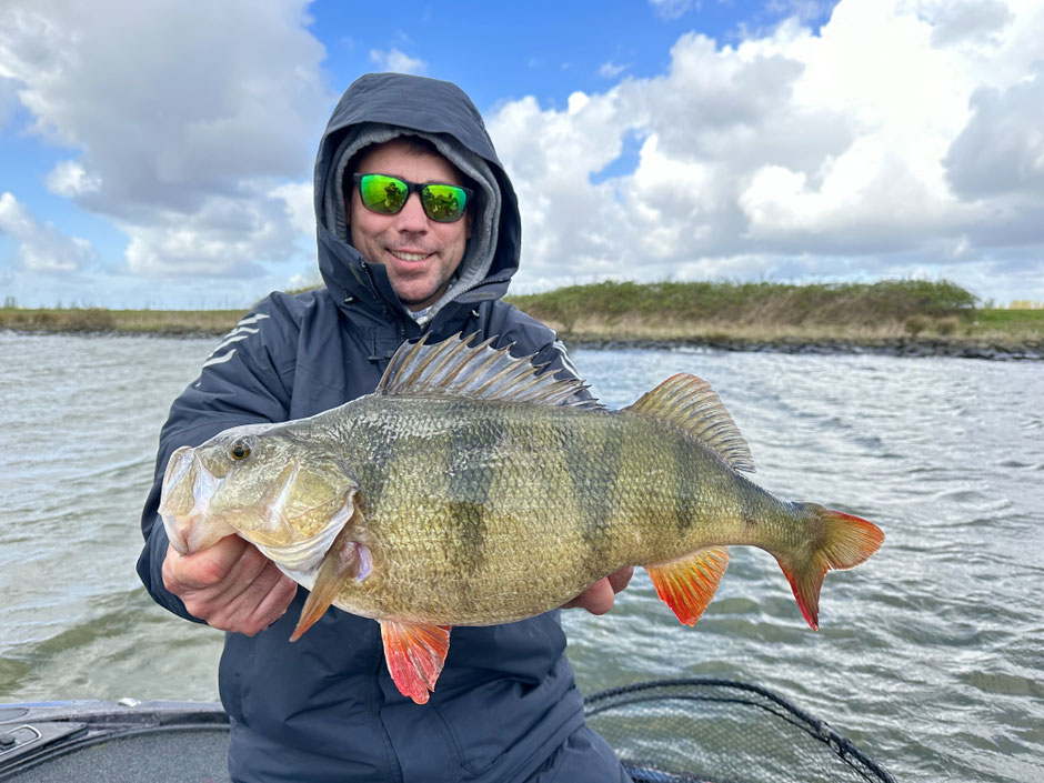 The Punk 15gr an der Uferkante gejiggt - großer Barsch mit dem Jig Spinner von Reel Busy Fishing