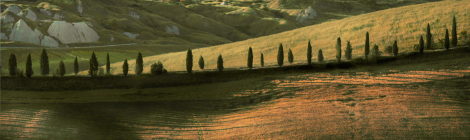 Photo of hills with a row of cypresses and Crete Senesi at sunset